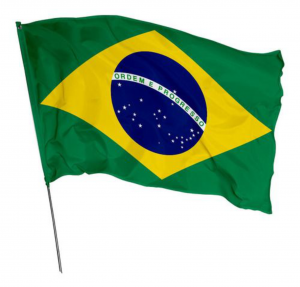 BANDEIRAS OXFORD DIVERSOS 4X0 COSTURA LINHA BRANCA SOMENTE BANDEIRA 